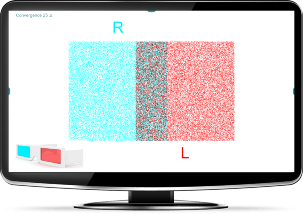 Vision Rehabilitation